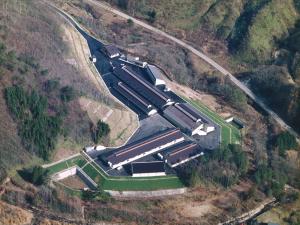 �����Ҿ��������