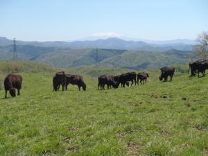 �����Ҿ��������ʡ��������ϡ�